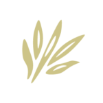 Corn Tassel Medicine