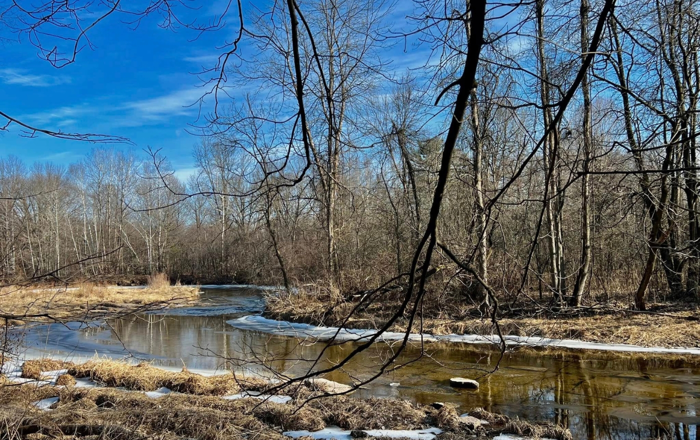 Duck Creek Oneida Duck Creek